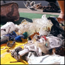 déchets plastiques