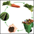 cycle du compost