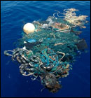 déchets marins en nylon