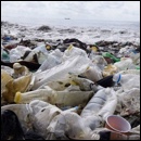 déchets plastiques non collectés, non recyclés et polluant l'environnement