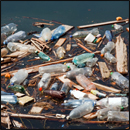 déchets plastiques marins